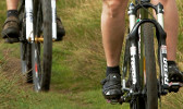 Socken