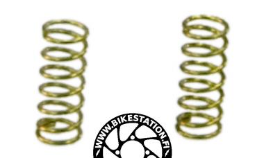 Rohloff SPEEDHUB Achsfedern Freilauf 