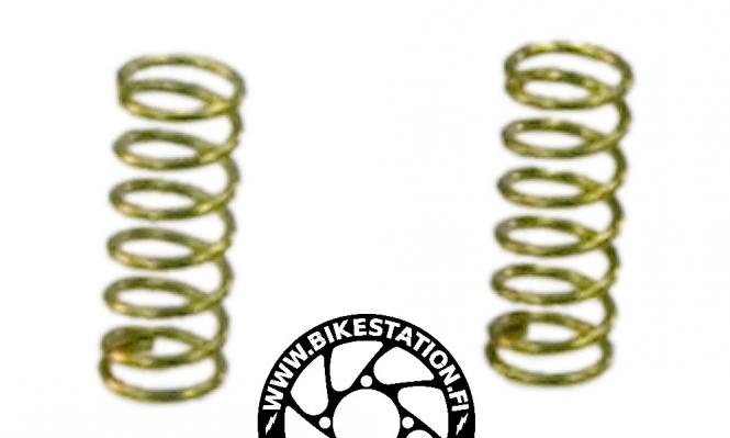 Rohloff SPEEDHUB Achsfedern Freilauf 